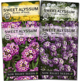 Sow Right Seeds Sweet Alyssum Royal Carpet packets showcased for color-rich border edging.
