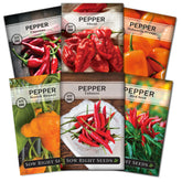 Sow Right Seeds Tabasco pepper seeds packet for vibrant home garden harvest.