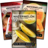 Sow Right Seeds tri-color watermelon collection packets ready for planting