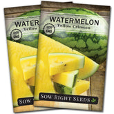 Sow Right Seeds Yellow Crimson Sweet watermelon rind close-up for a colorful garden fruit.