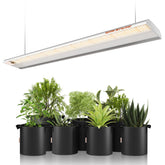 Spider Farmer SF600 LED grow light front view for space-saving indoor grows