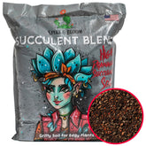Spike & Bloom high drainage succulent soil shows gritty texture for healthy roots.