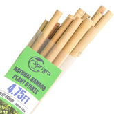 Sprigra 57inch bamboo stake side view supports tall plants securely