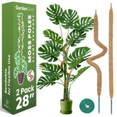 Sproot 28-inch moss pole bendable supports indoor Monstera climbers.