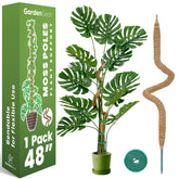 Sproot 48in bendable moss pole supports monstera growth for a vertical display