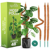 Sproot 48-inch bendable moss pole pack providing sturdy vertical support for monstera plants