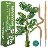 Sproot two-pack moss poles providing sturdy support for climbing monstera and pothos