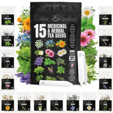 SPROUTME SEEDS Calendula blossoms for home gardens and herbal teas.