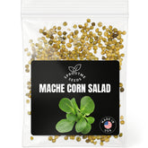 SPROUTME SEEDS mache leaves for fresh salads and quick home harvests.
