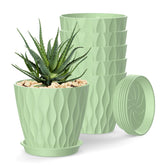 SQKH 4-inch pot top view with drainage holes for healthy roots.