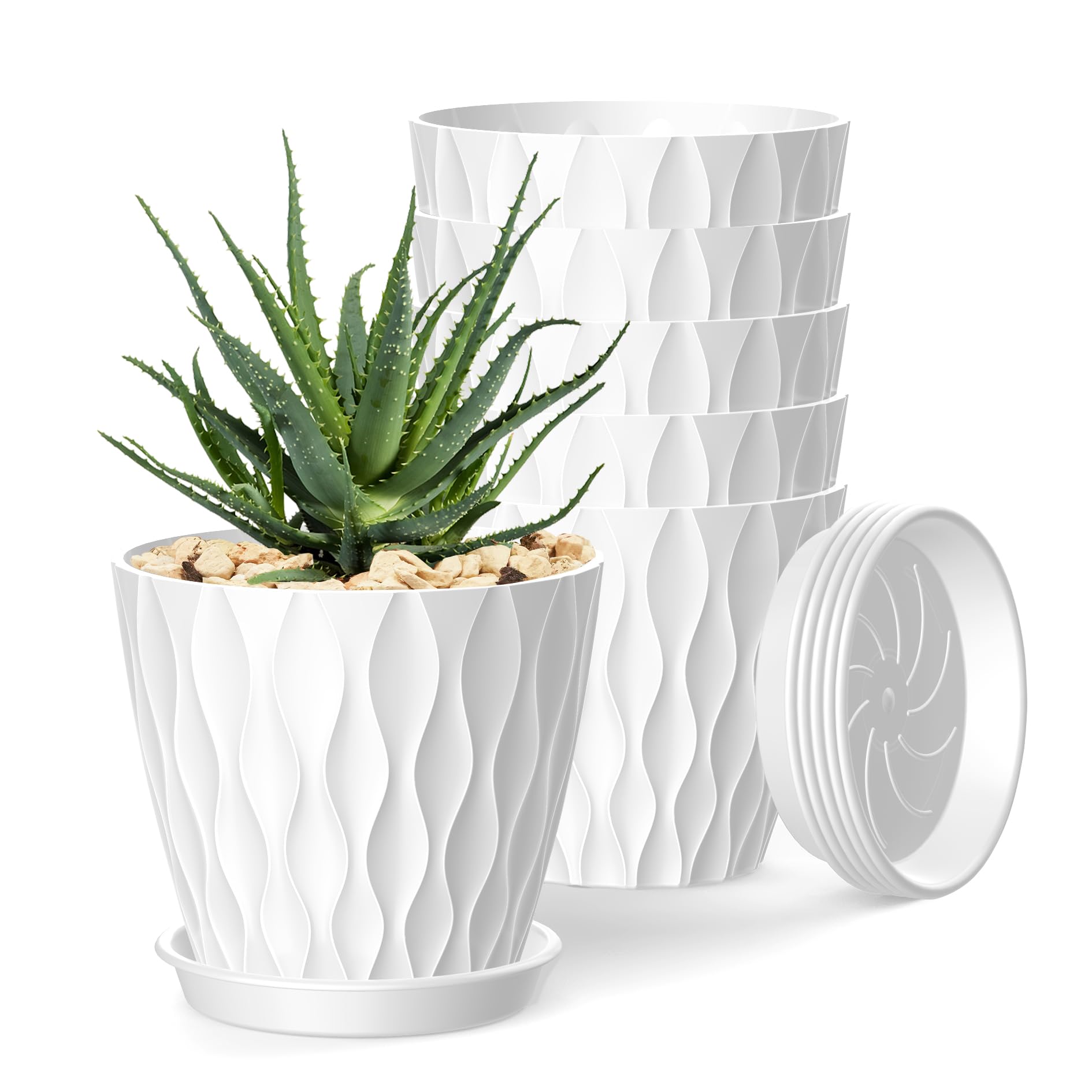 SQKH 4-inch pot in plain white for a minimalist indoor display.