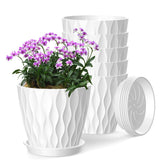SQKH 6-inch plant pots pack white for versatile indoor gardening.