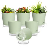 SQKH 7-inch self-watering pot six-pack for easy plant care.