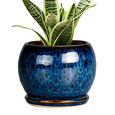 SQOWL 6-inch blue glaze plant pot on a windowsill for stylish indoor decor