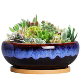SQOWL 7 Inch Round Ceramic Planter with drip glaze for stylish indoor succulent display.