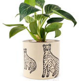 STHIE 5-inch ceramic planter with panther pattern for stylish indoor greenery.