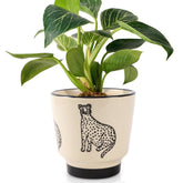 STHIE 5-inch ceramic planter with a playful panther pattern for stylish indoor decor.