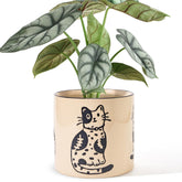 STHIE cat-pattern ceramic pot with drainage for healthier indoor plants.