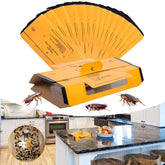 Stingmon 24-pack roach traps indoor setup in hallway corner for quick pest capture.