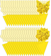 Stingmon 36-pack fruit fly traps for indoor use attract pests effectively.