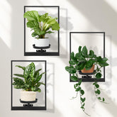 Storenization wall planters showcase a unique hanging design for indoor and outdoor spaces.