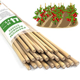 Stroller bamboo stake 4ft for garden trellising and plant support.