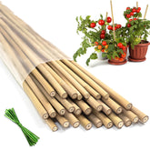 Stroller plant stakes 18in natural bamboo for sturdy indoor and outdoor plant support