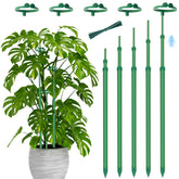 Stroller telescoping plant stakes extended height provide sturdy support for growing Monsteras.