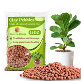 Sukh Clay Pebbles close-up showing uniform 8–10 mm size for reliable drainage.