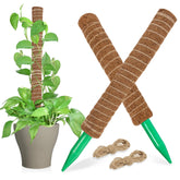 Sukh Moss Pole with extendable design supports climbing plants toward light.