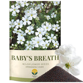 SunHaven Seeds Baby's Breath 1oz packet preserves bulk sowing in borders.