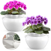 Sunnychicc African violet self-watering pot with 7.5-inch size for easy hands-off care.