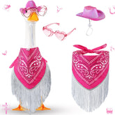 Sunnymove disco cowgirl hat on a porch goose for festive decor