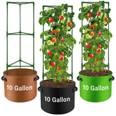 Suntee tomato cage setup group demonstrates space-saving garden trellis for balcony harvest
