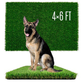 SunTurf dog grass with soft-touch texture for gentle play and training.