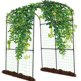Sunyrisy garden arch trellis with a tall frame supports cucumber and tomato vines outside.