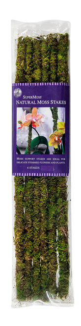 SuperMoss moss stakes, 18-inch preserved green, provide natural orchid support and elegant display.