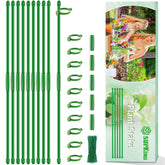 SupKing extendable plant stake from 1ft to 4ft keeps orchids upright and tidy.