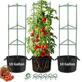 Suprock tomato cages with grow bags for compact vertical gardening.