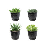 Sureasy succulent pots with a 3.5-inch drainage hole for healthy roots.