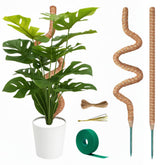 SURPPO moss pole 50in bendable supports Monstera for upright growth and fuller leaves.