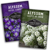 SURVIVAL GARDEN SEEDS Alyssum Purple Royal Carpet seeds for vibrant ground cover.