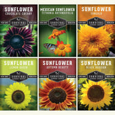 Survival Garden Seeds Autumn Beauty sunflower in full bloom for vibrant garden color and mood-boosting display.