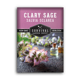 SURVIVAL GARDEN SEEDS Clary Sage seeds in packet ready for planting and fragrance.