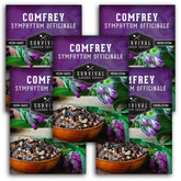 Survival Garden Seeds comfrey seeds pack for easy planting and long-term soil health.