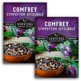 SURVIVAL GARDEN SEEDS comfrey seeds pack ready for perennial planting and soil enrichment.