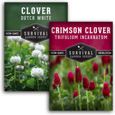 SURVIVAL GARDEN SEEDS Crimson Clover packet ready for planting and rapid ground cover