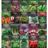 SURVIVAL GARDEN SEEDS hydroponic kit setup for compact growing in small spaces.