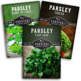Survival Garden Seeds Italian Giant parsley seeds for easy indoor or outdoor growing and fresh garnish