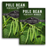 SURVIVAL GARDEN SEEDS Kentucky Wonder pole bean seeds in a packet, ideal for home garden planting.